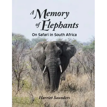 A Memory of Elephants: On Safari in South Africa
