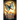Butterfly Rising
