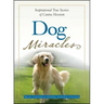 Dog Miracles: Inspirational True Stories of Canine Heroism