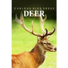 Deer - Curious Kids Press