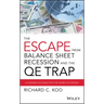 The Escape from Balance Sheet Recession and the Qe Trap: A Hazardous Road for the World Economy