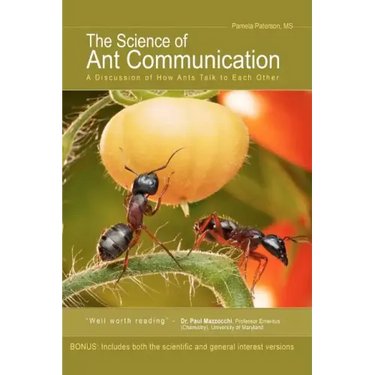 The Science of Ant Communication: A Discussion of How Ants Talk to Each Other