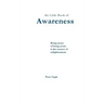The Little Book of Awareness