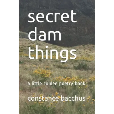 secret dam things: a little coulee poetry book