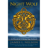 Night Wolf: A Novel of Viking Age Ireland