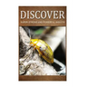 Super Strong and Powerful Insects - Discover: Early reader's wildlife photography book