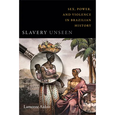 Slavery Unseen: Sex, Power, and Violence in Brazilian History