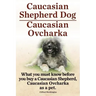 Caucasian Shepherd Dog. Caucasian Ovcharka. What You Must Know Before You Buy a Caucasian Shepherd Dog, Caucasian Ovcharka as a Pet.