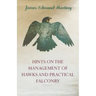 Hints on the Management of Hawks and Practical Falconry