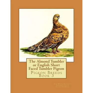 The Almond Tumbler or English Short Faced Tumbler Pigeon: Pigeon Breeds Book 3