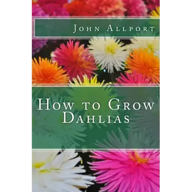 How to Grow Dahlias