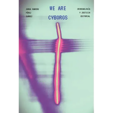 We Are Cyborgs: Developing a Theoretical Model for Understanding Criminal Behaviour on the Internet