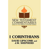 I Corinthians: A Commentary on the New Testament Epistles