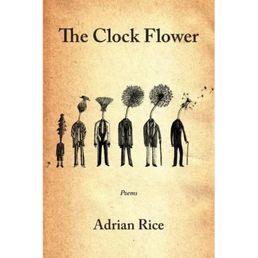The Clock Flower