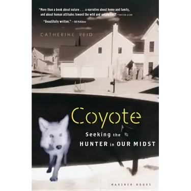 Coyote: Seeking the Hunter in Our Midst