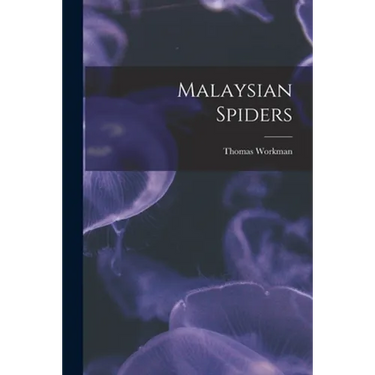 Malaysian Spiders