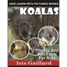 Koalas: Photos and Fun Facts for Kids
