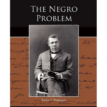 The Negro Problem