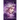 Coveted: A Psychic Visions Novel