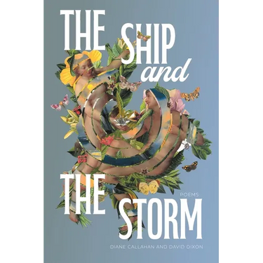 The Ship and the Storm