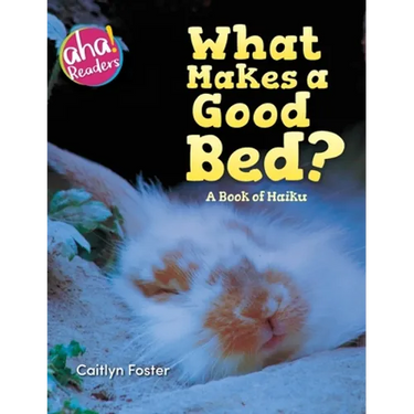 What Makes a Good Bed?: A book of Haiku