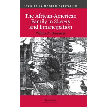 The African-American Family in Slavery and Emancipation