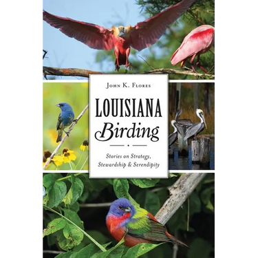 Louisiana Birding: Stories on Strategy, Stewardship & Serendipity