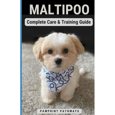 Maltipoo Complete Care & Training Guide: How to Give Your Pup His Best Life