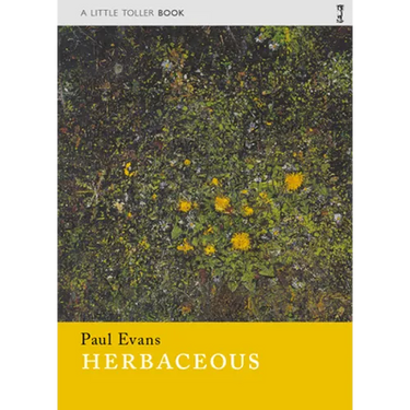 Herbaceous