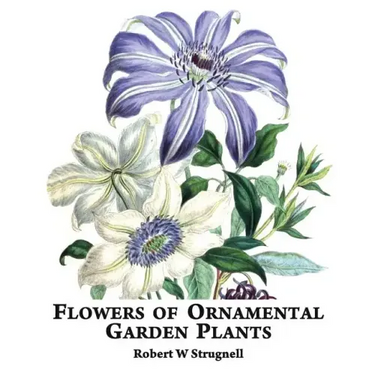 Flowers of Ornamental Garden Plants