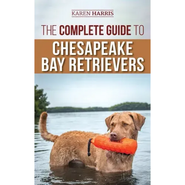 The Complete Guide to Chesapeake Bay Retrievers: Training, Socializing, Feeding, Exercising, Caring for, and Loving Your New Chessie Puppy