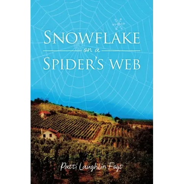 Snowflake on a Spider's Web