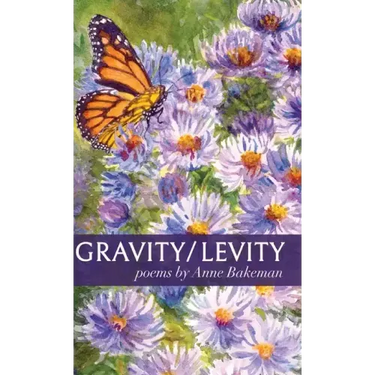 Gravity/Levity