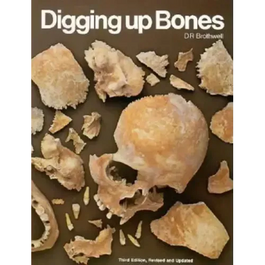 Digging Up Bones