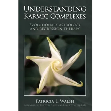 Understanding Karmic Complexes