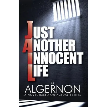 Just Another Innocent Life