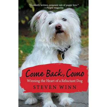 Come Back, Como: Winning The Heart Of A Reluctant Dog