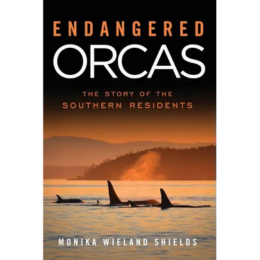 Endangered Orcas: The Story of the Southern Residents