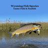 Wyoming Game Fish and Panfish Species Kids Book: Great Book About the Different Types of Fish in Wyoming