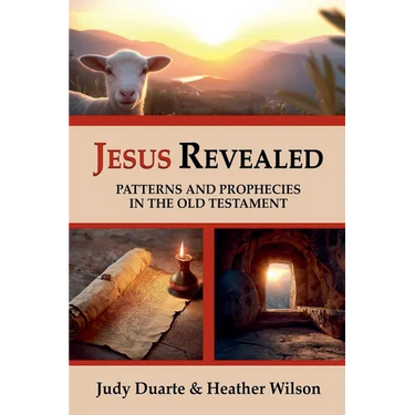 Jesus Revealed Patterns and Prophecies in the Old Testament