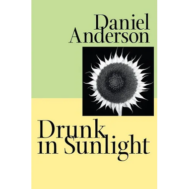 Drunk in Sunlight
