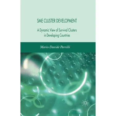 Sme Cluster Development: A Dynamic View of Survival Clusters in Developing Countries