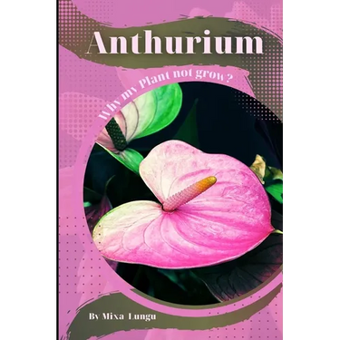Anthurium: Why my Plant not grow? problems and their solutions