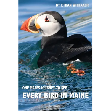 Every Bird in Maine: One Man's Journey to See Every Bird in Maine - A Photographic Account of a Maine Big Year in Birding