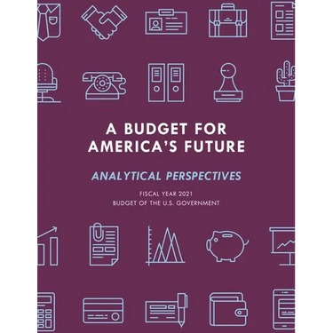 A Budget for America's Future: Analytical Perspectives, Budget of the U.S. Government, Fiscal Year 2021