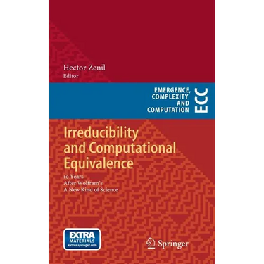 Irreducibility and Computational Equivalence: 10 Years After Wolfram's a New Kind of Science