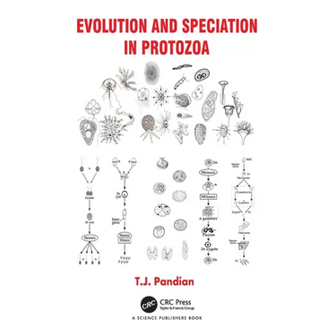 Evolution and Speciation in Protozoa