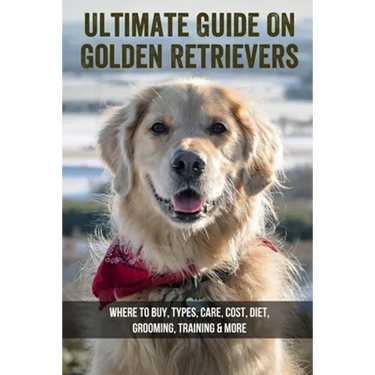 Ultimate Guide On Golden Retrievers: Where To Buy, Types, Care, Cost, Diet, Grooming, Training & More: How Do You Discipline A Golden Retriever