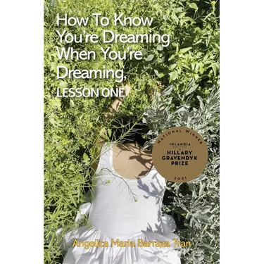 How to Know You're Dreaming When You're Dreaming, lesson one