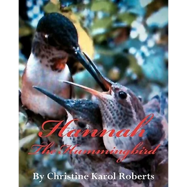 Hannah the Hummingbird